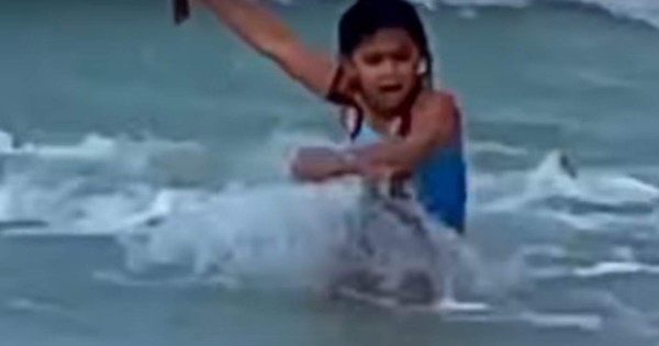 Video viral: niña se salva de milagro del ataque de un tiburón