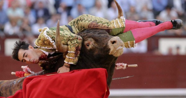 Torero vuelve a sufrir cornada en el cuello
