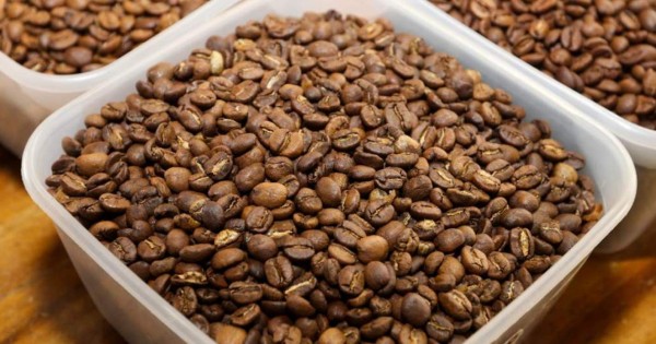Exportaciones hondureñas de café bajan 47.1% en 3 meses de cosecha