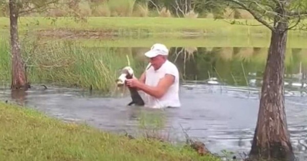Video viral: hombre se lanza al agua para salvar a su perro de ser devorado por un caimán