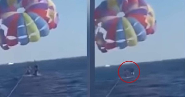 Video viral impactante: un tiburón salta y ataca a un paracaidista
