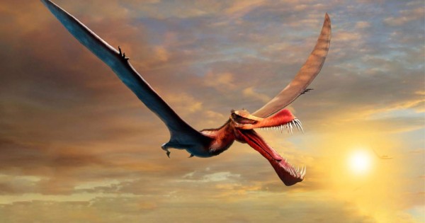 Encuentran a un dinosaurio volador, descrito como un dragón, en Australia