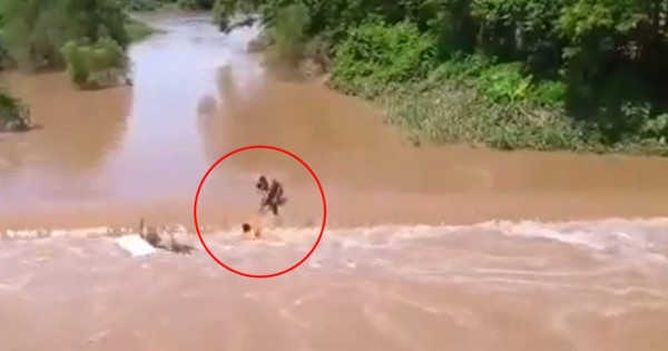 VIDEO: Bomberos de Honduras rescatan a niño que era arrastrado por el río Ulúa