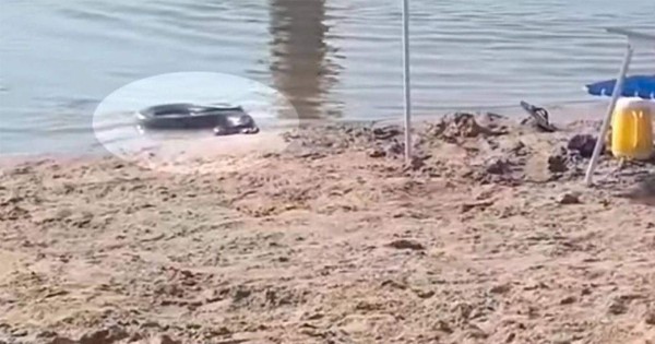 Video viral: gigantesca anaconda sale de la playa en medio de los turistas