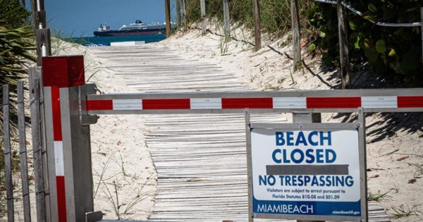 Reportan dos ataques de tiburones a un niño y a un hombre en Florida