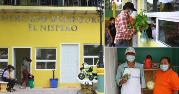 Inauguran mercado bioseguro en El Níspero, Santa Bárbara