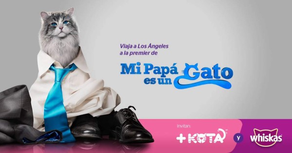 Llega la comedia 'Mi papá es un gato”