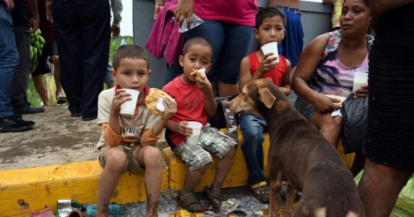 Casi 3 millones de hondureños están en crisis alimentaria