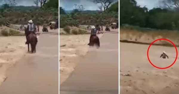 VIDEO: Hombre y caballo son arrastrados por río en Cofradía