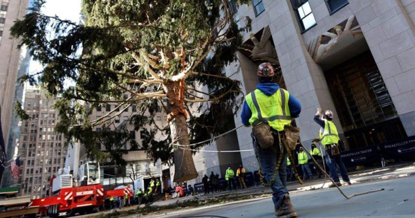 Llega a Nueva York el tradicional árbol navideño del Rockefeller Center