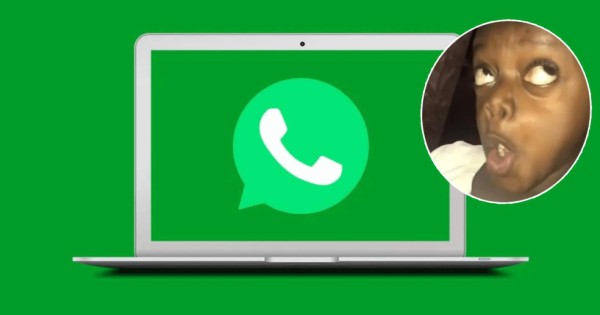 WhatsApp Web agregó el buscador de stickers en su app