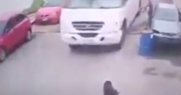 Video viral: conductor atropella con saña a perrito