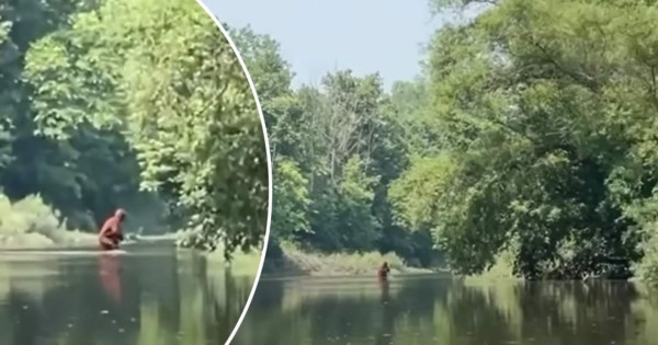 Video viral: hombre asegura que grabó a ‘Pie Grande’ cruzando un río