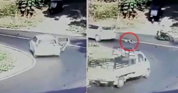 Video viral: Niño cae del auto en el que viajaba tras abrirse la puerta trasera