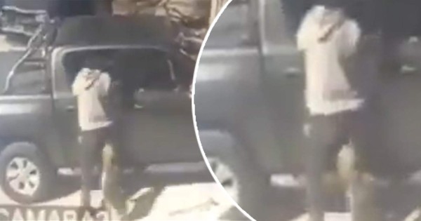 Video viral: perro muerde glúteos de ladrón y evita asalto