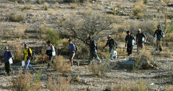 Patrulla Fronteriza rescata 50 inmigrantes en desierto de Arizona