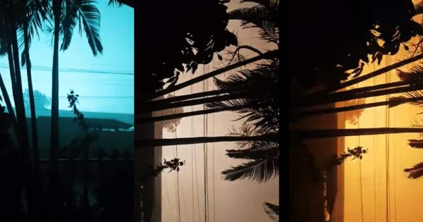 Video: destello de luces iluminaron el cielo de La Ceiba durante el paso de Iota⁣⁣