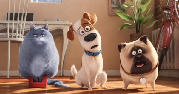 Conoce la vida secreta de las mascotas