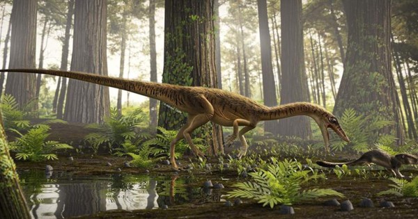 Descubren uno de los antepasados más antiguos del Tyrannosaurus Rex