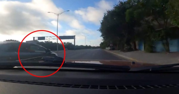 Video: '¿Papi qué pasa?', familia es perseguida por narcos en México