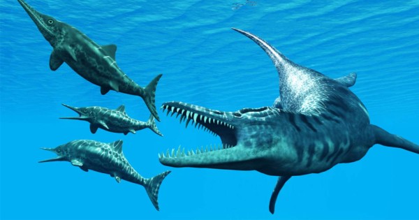 Hallan fósiles de un gran depredador marino del Jurásico