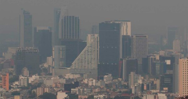 Científicos alertan que el ozono ya amenaza la biodiversidad de todo el mundo