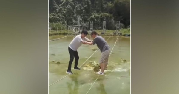 Video viral: dos personas arriesgan sus vidas al jugar sobre cocodrilos