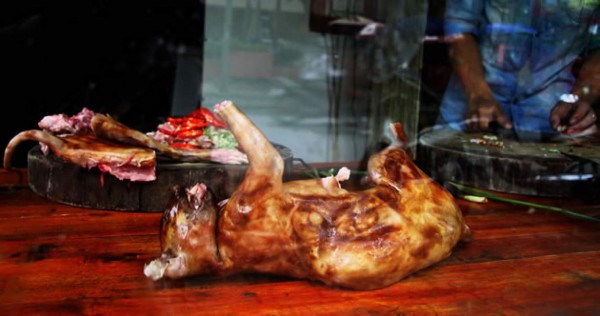 Restaurante es popular por la venta de gatos fritos