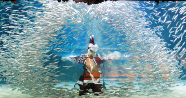 Navidad: Fiesta mundial