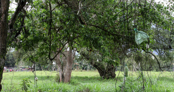 Enee pierde L300 millones al mes por robo de energía en el norte de Honduras