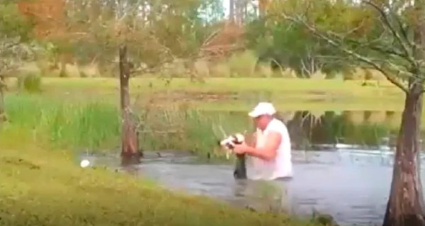 El video viral de un hombre salvando a su cachorro de ser devorado por un cocodrilo