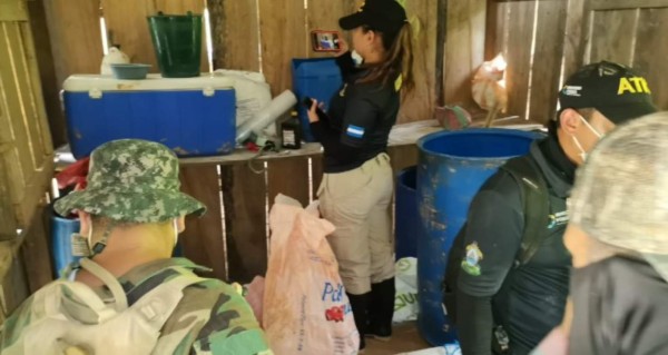 Destruyen plantación de coca y queman un narcolaboratorio