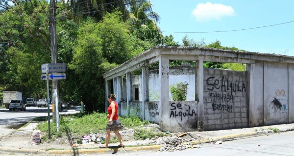 Conoce los síntomas de la fiebre Chikungunya