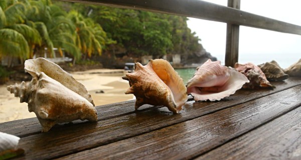 Cayos Cochinos, islas que seducen y relajan