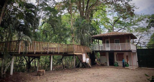 Mico Quemado, belleza natural: refugio de fauna y vida silvestre