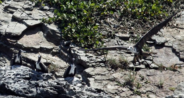 Por los encantos escondidos de Punta Sal