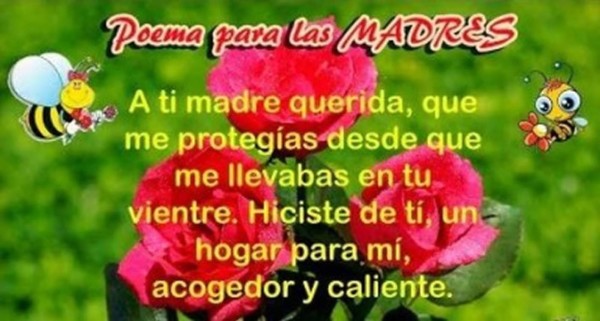 Bellas frases y poemas para Mamá