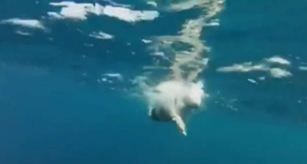 Japonés de 73 años bate récord al cruzar estrecho de Tsugaru