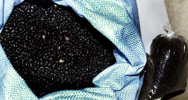 Banasupro sufre escasez de frijol rojo en San Pedro Sula