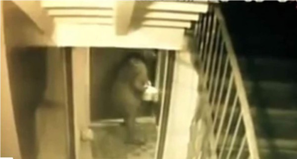 Abuela caníbal lleva cabeza de víctima en olla