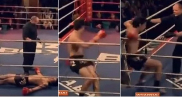 Video: Boxeador tuvo la reacción más extraña al ser noqueado