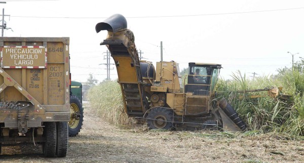 Un 20% cayó generación de divisas por azúcar