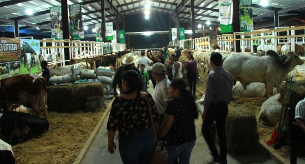 Feria regional en el Agas mostrará lo mejor de la ganadería de CA