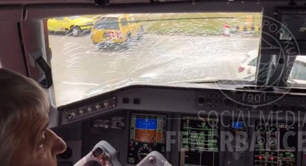 Avión del Fenerbahce aterriza de emergencia por culpa de un pájaro