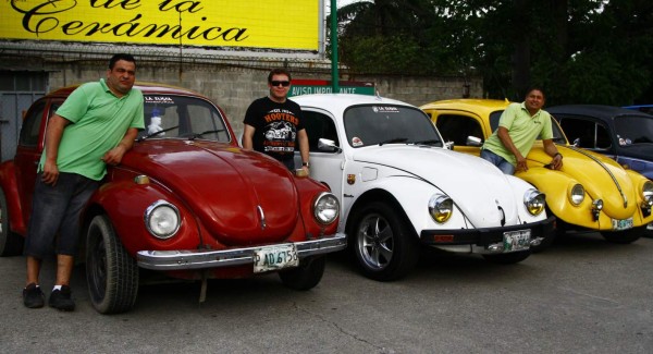 Así es el selecto club de los escarabajos