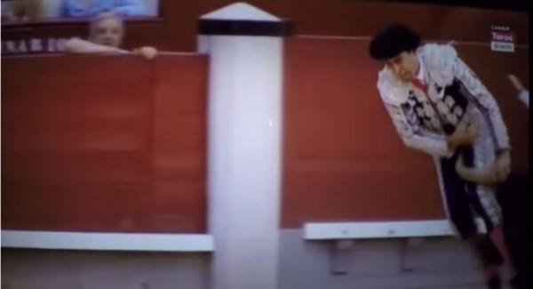Torero perdió un testículo después de una brutal cornada