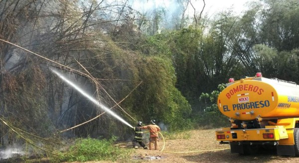 Le meten fuego a reserva Mico Quemado en Yoro