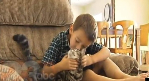 La gata Tara se convierte en estrella tras salvar a niño de perro