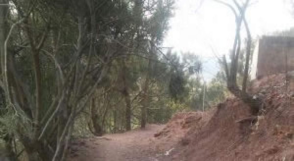 Ultiman a ayudante de albañil en Tegucigalpa