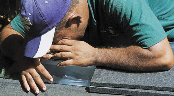 '¡Te quiero mucho, adiós amorcito bello!”